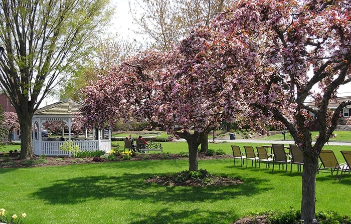 Outdoor at Travelers Rest Motel