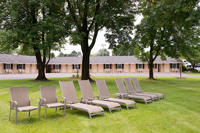 Lounge chairs placed on the lawn at Bird-in-Hand Family Inn