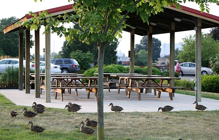 The pavilion at Bird-in-Hand Family Inn